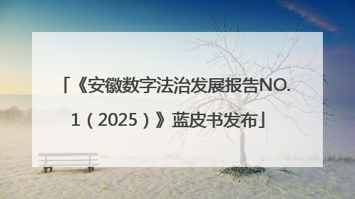 《安徽数字法治发展报告NO.1（2025）》蓝皮书发布
