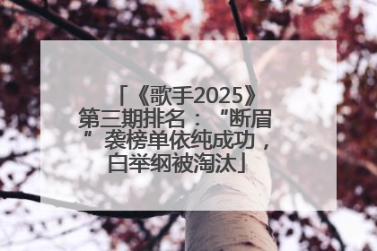 《歌手2025》第三期排名：“断眉”袭榜单依纯成功，白举纲被淘汰