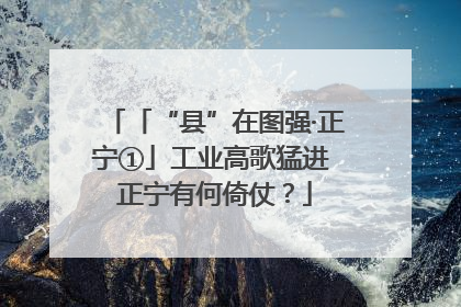 「“县”在图强·正宁①」工业高歌猛进 正宁有何倚仗？