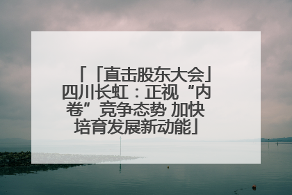 「直击股东大会」四川长虹：正视“内卷”竞争态势 加快培育发展新动能