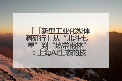 「新型工业化媒体调研行」从“北斗七星”到“热带雨林”：上海AI生态的技术商业共生密码