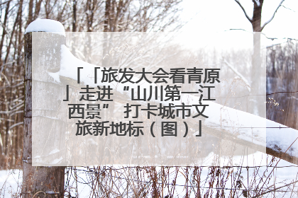 「旅发大会看青原」走进“山川第一江西景” 打卡城市文旅新地标（图）
