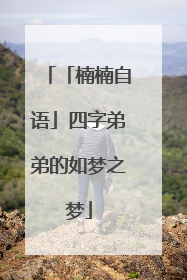 「楠楠自语」四字弟弟的如梦之梦