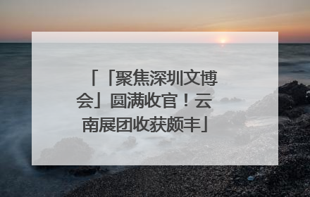 「聚焦深圳文博会」圆满收官！云南展团收获颇丰