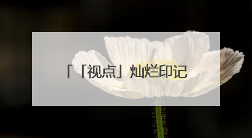 「视点」灿烂印记 灵秀画卷——天水市美术作品选登