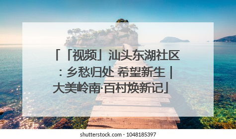 「视频」汕头东湖社区：乡愁归处 希望新生｜大美岭南·百村焕新记