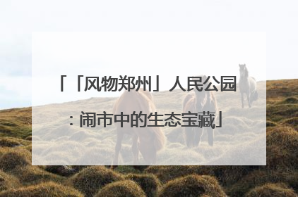 「风物郑州」人民公园：闹市中的生态宝藏
