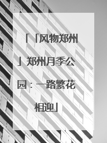 「风物郑州」郑州月季公园：一路繁花相迎