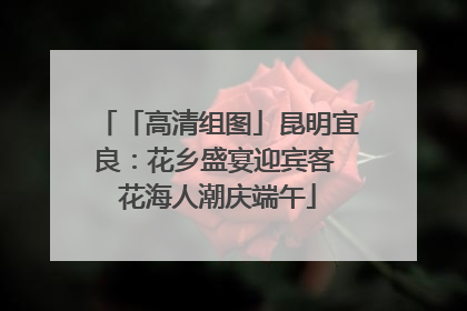 「高清组图」昆明宜良：花乡盛宴迎宾客 花海人潮庆端午