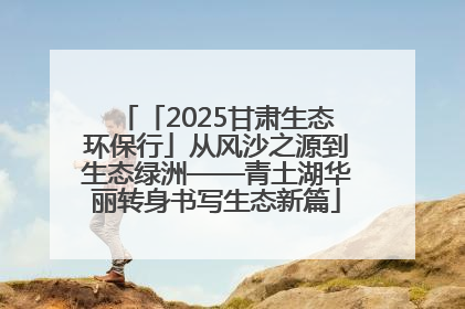 「2025甘肃生态环保行」从风沙之源到生态绿洲——青土湖华丽转身书写生态新篇