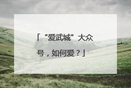 “爱武城”大众号，如何爱？