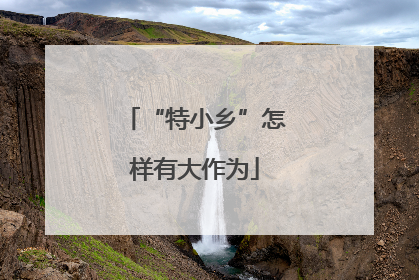 “特小乡”怎样有大作为