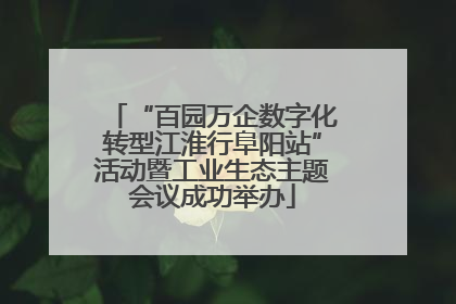 “百园万企数字化转型江淮行阜阳站”活动暨工业生态主题会议成功举办