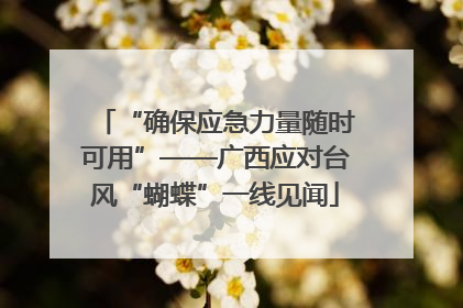 “确保应急力量随时可用”——广西应对台风“蝴蝶”一线见闻