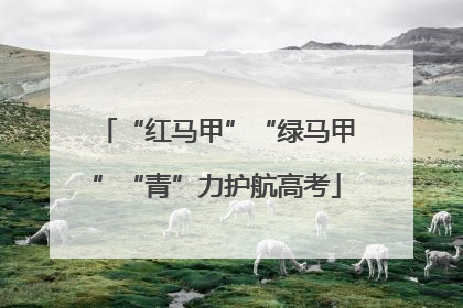 “红马甲”“绿马甲”“青”力护航高考