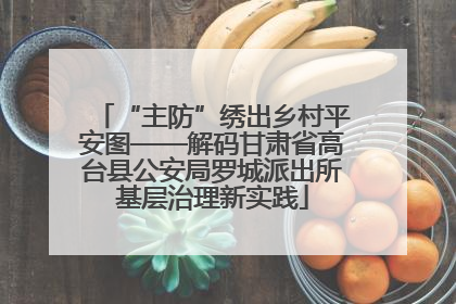 “主防”绣出乡村平安图——解码甘肃省高台县公安局罗城派出所基层治理新实践