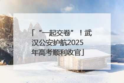 “一起交卷”！武汉公安护航2025年高考顺利收官