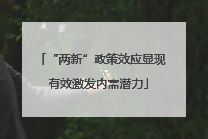 “两新”政策效应显现 有效激发内需潜力