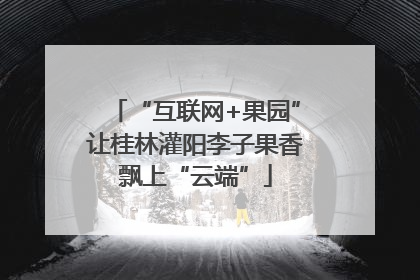 “互联网+果园”让桂林灌阳李子果香飘上“云端”