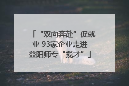 “双向奔赴”促就业 93家企业走进益阳师专“揽才”