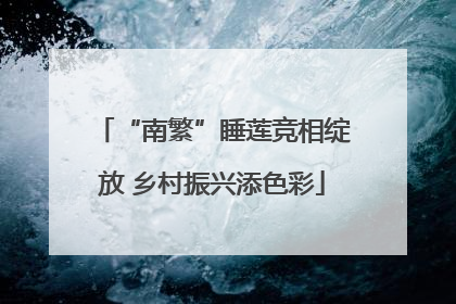 “南繁”睡莲竞相绽放 乡村振兴添色彩