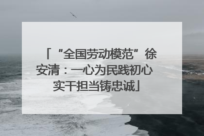 “全国劳动模范”徐安清：一心为民践初心 实干担当铸忠诚