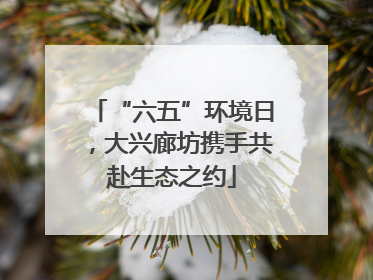 “六五”环境日，大兴廊坊携手共赴生态之约