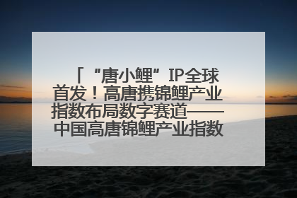 “唐小鲤”IP全球首发！高唐携锦鲤产业指数布局数字赛道——中国高唐锦鲤产业指数暨“唐小鲤”IP全球首发仪式在杭州举行