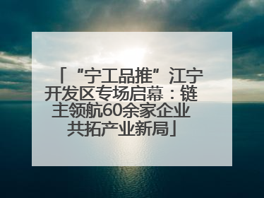 “宁工品推”江宁开发区专场启幕：链主领航60余家企业共拓产业新局