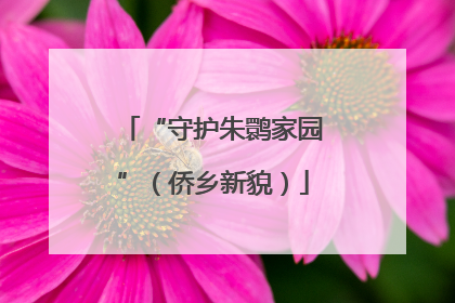 “守护朱鹮家园”（侨乡新貌）