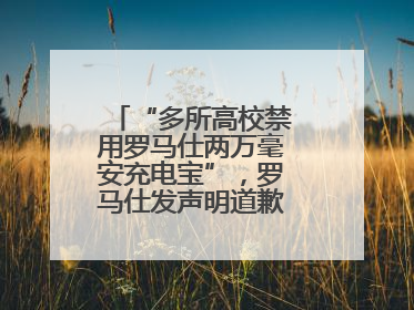 “多所高校禁用罗马仕两万毫安充电宝”，罗马仕发声明道歉：已展开核查