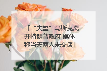 “失望”马斯克离开特朗普政府 媒体称当天两人未交谈