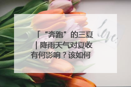 “奔跑”的三夏｜降雨天气对夏收有何影响？该如何防范？一文了解