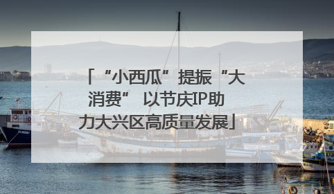 “小西瓜”提振“大消费” 以节庆IP助力大兴区高质量发展