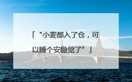 “小麦都入了仓，可以睡个安稳觉了”