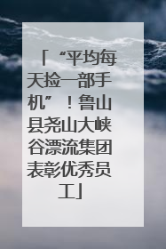 “平均每天捡一部手机”！鲁山县尧山大峡谷漂流集团表彰优秀员工