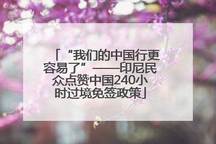 “我们的中国行更容易了”——印尼民众点赞中国240小时过境免签政策