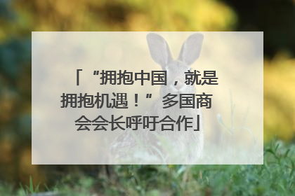 “拥抱中国，就是拥抱机遇！”多国商会会长呼吁合作
