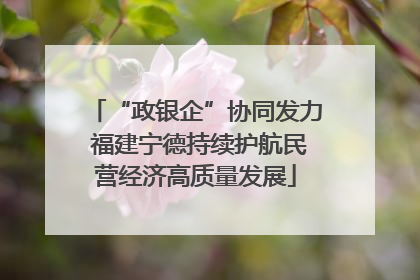 “政银企”协同发力 福建宁德持续护航民营经济高质量发展