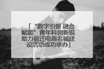 “数字引领 融合赋能”青年科创新锐助力宿迁电商名城建设活动成功举办
