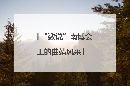 “数说”南博会上的曲靖风采