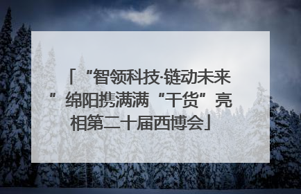 “智领科技·链动未来”绵阳携满满“干货”亮相第二十届西博会