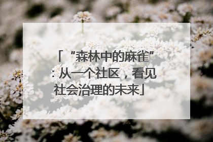 “森林中的麻雀”：从一个社区，看见社会治理的未来