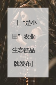 “楚小田”农业生态链品牌发布