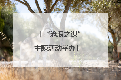 “沧浪之谋”主题活动举办