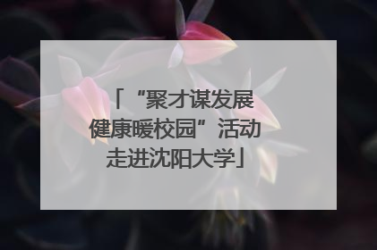 “聚才谋发展 健康暖校园”活动走进沈阳大学