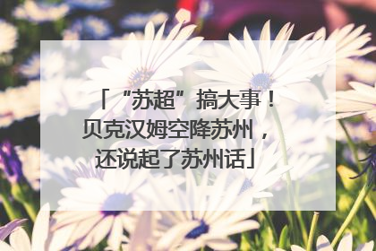 “苏超”搞大事！贝克汉姆空降苏州，还说起了苏州话