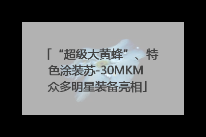 “超级大黄蜂”、特色涂装苏-30MKM 众多明星装备亮相