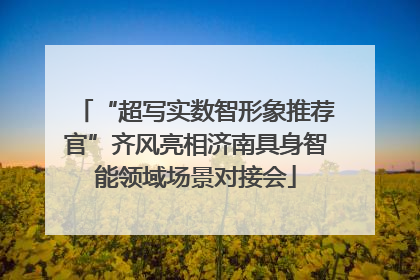 “超写实数智形象推荐官”齐风亮相济南具身智能领域场景对接会