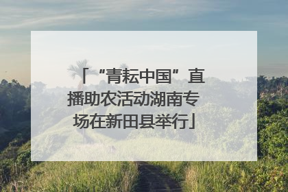 “青耘中国”直播助农活动湖南专场在新田县举行
